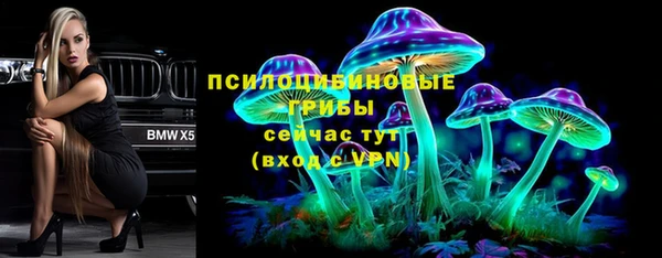 трава Кулебаки