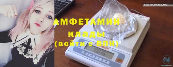 прущие грибы Куйбышев