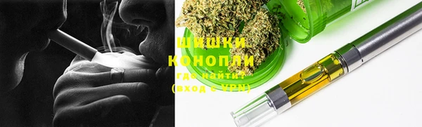 прущие грибы Куйбышев