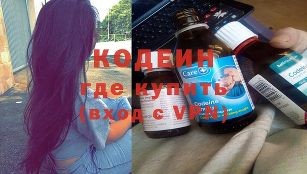 прущие грибы Куйбышев