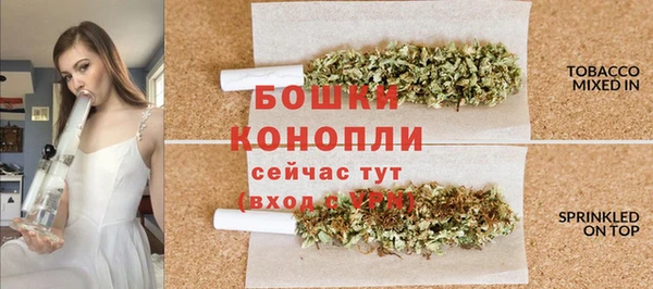 стаф Кукмор