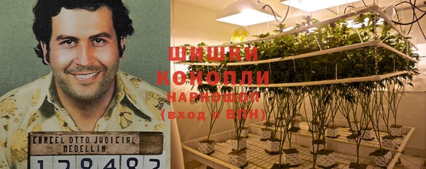 стаф Кукмор