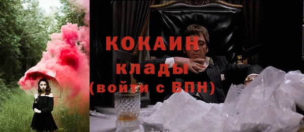 прущие грибы Куйбышев