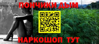 шишки Гагарин