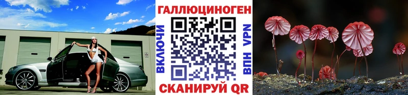kraken ONION  Стерлитамак  Псилоцибиновые грибы прущие грибы  продажа наркотиков 