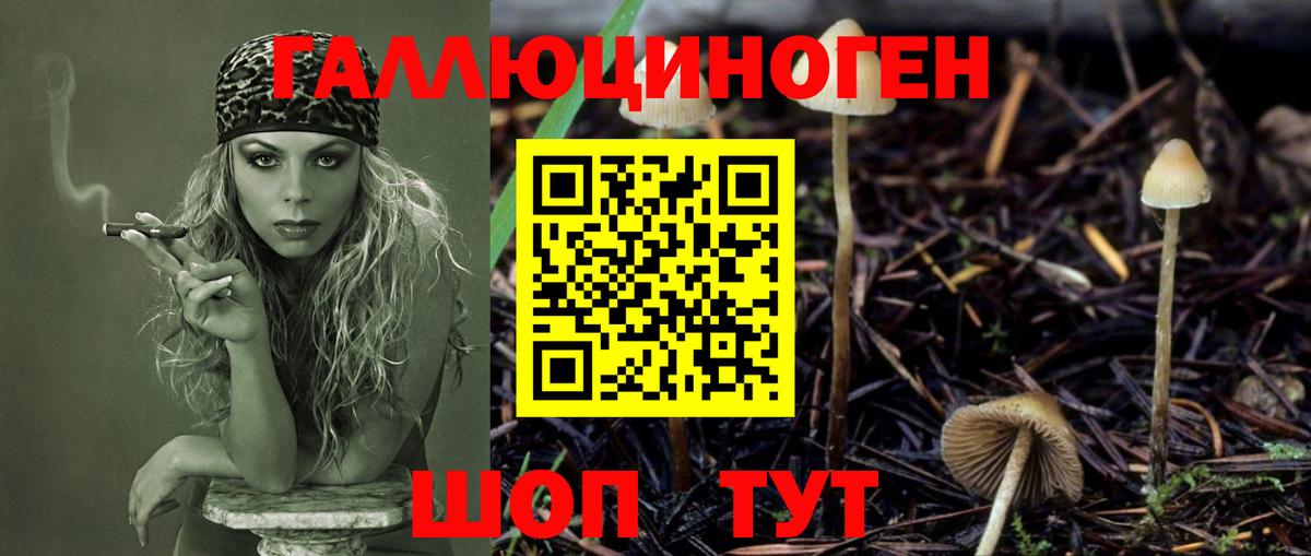 Псилоцибиновые грибы Psilocybine cubensis  Вход с VPN  Стерлитамак 